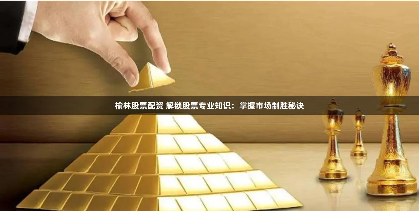 榆林股票配资 解锁股票专业知识：掌握市场制胜秘诀
