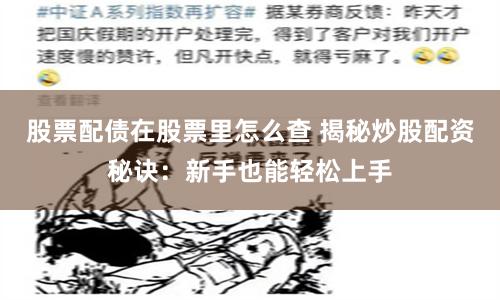 股票配债在股票里怎么查 揭秘炒股配资秘诀：新手也能轻松上手